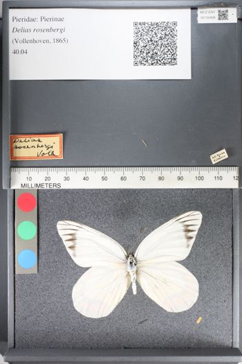 Media type: image;   Entomology 130406
